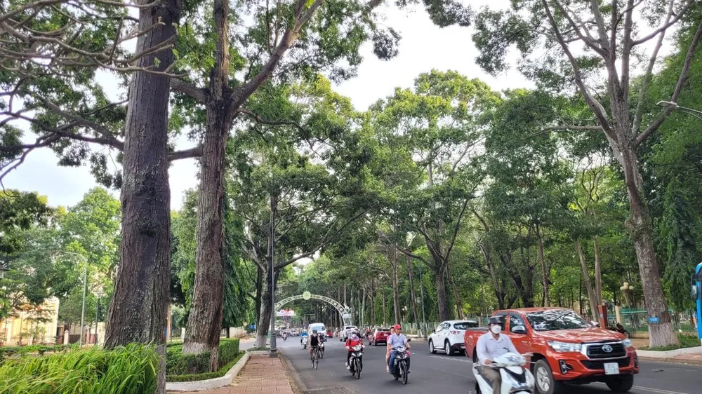 Đường Lê Duẩn - TP Buôn Ma Thuột. Ảnh: VŨ LONG