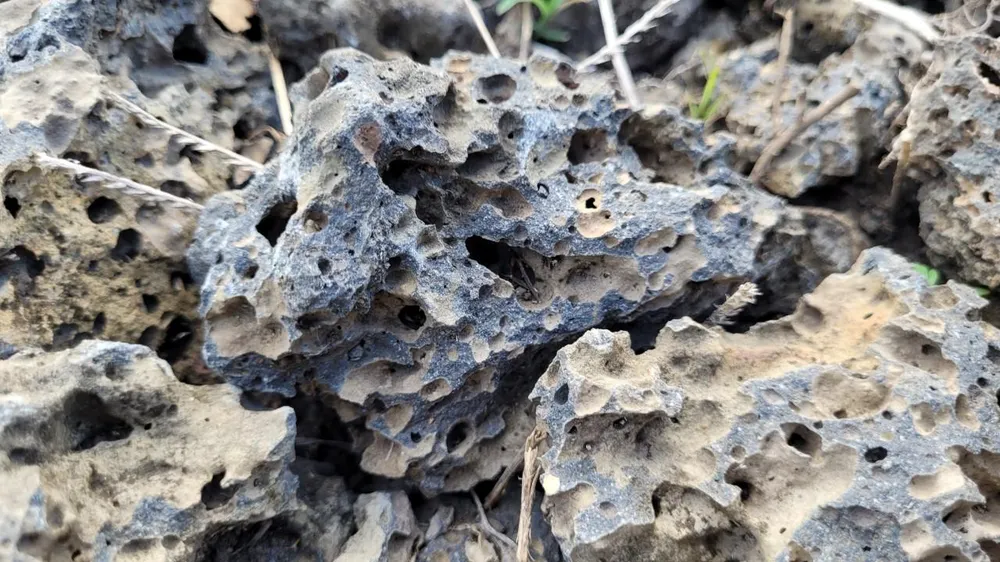 Phiến đá quanh hang động núi lửa (ảnh: VL) Phiến đá quanh hang động núi lửa (ảnh: VL)