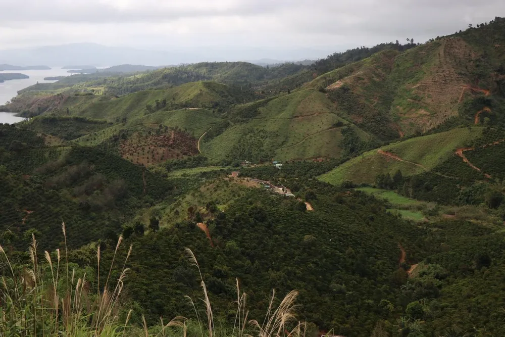 Phần diện tích đất của Viện Khoa học lâm nghiệp Nam Trung Bộ và Tây Nguyên bị lấn chiếm. Ảnh: VLX