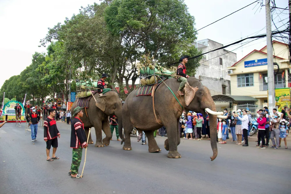 Lễ hội sầu riêng Krông Pắk lần I thu hút khoảng 40.000 lượt khách du lịch. Ảnh: A.X