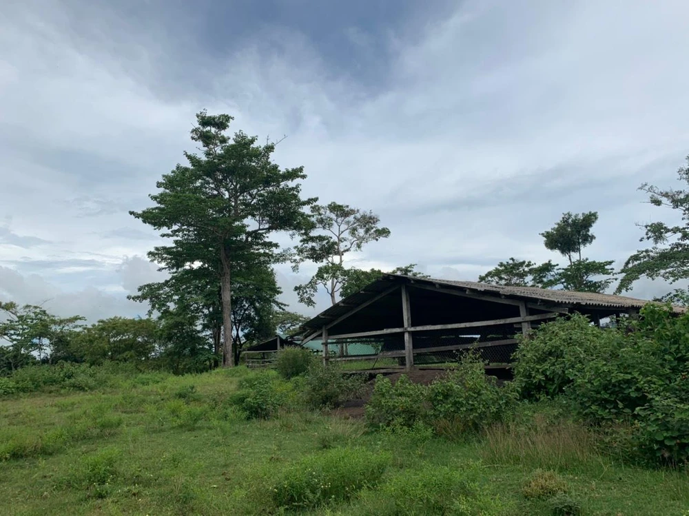 Nơi nuôi nhốt gia súc của gia đình ông Y Luyện Niê Kđăm. Ảnh: LX