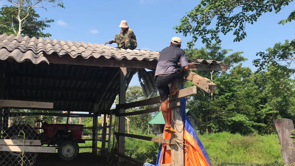 Tháo dỡ trại bò của cựu Bí thư Tỉnh ủy Đắk Lắk. Ảnh: LX Tháo dỡ trại bò của cựu Bí thư Tỉnh ủy Đắk Lắk. Ảnh: LX