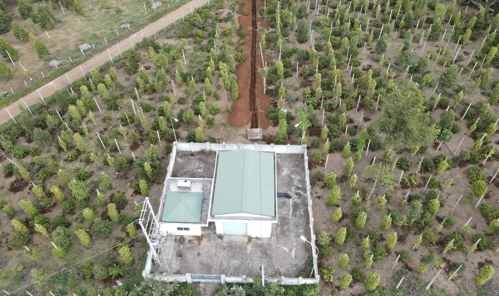 Chủ đầu đang đào tuyến đường ống để thử áp. Ảnh: NH