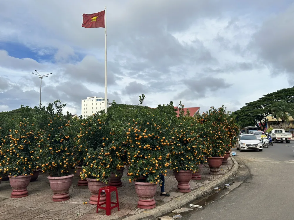 Một góc chợ hoa Buôn Ma Thuột. Ảnh: VŨ LONG