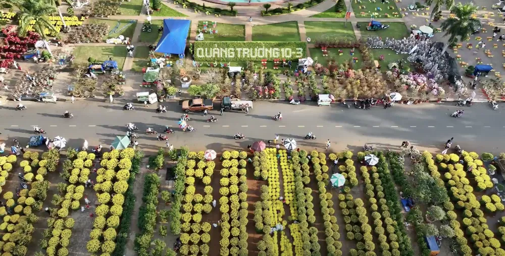 Chợ hoa Buôn Ma Thuột. Ảnh: Thanh Bình