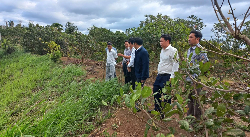 Ông Lê Trọng Yên (áo đen) kiểm tra hiện trường vụ đuối nước. Ảnh: VŨ LONG