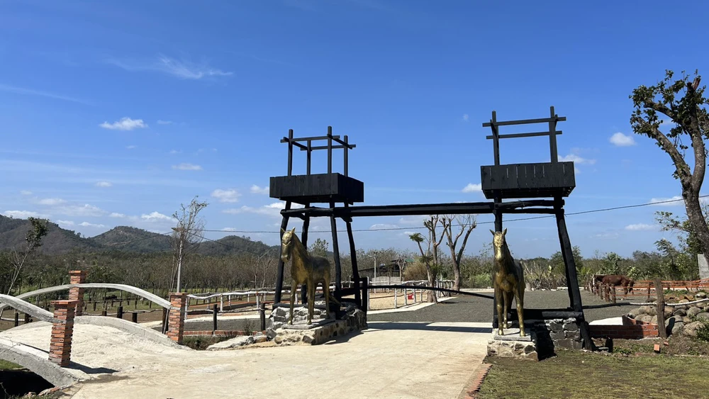 Khu vực nuôi ngựa của công trình. Ảnh: VŨ LONG