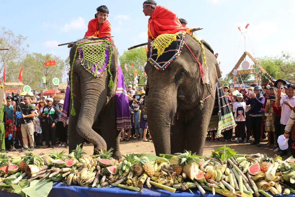 Voi được được trang điểm và dự tiệc buffet. Ảnh: MC