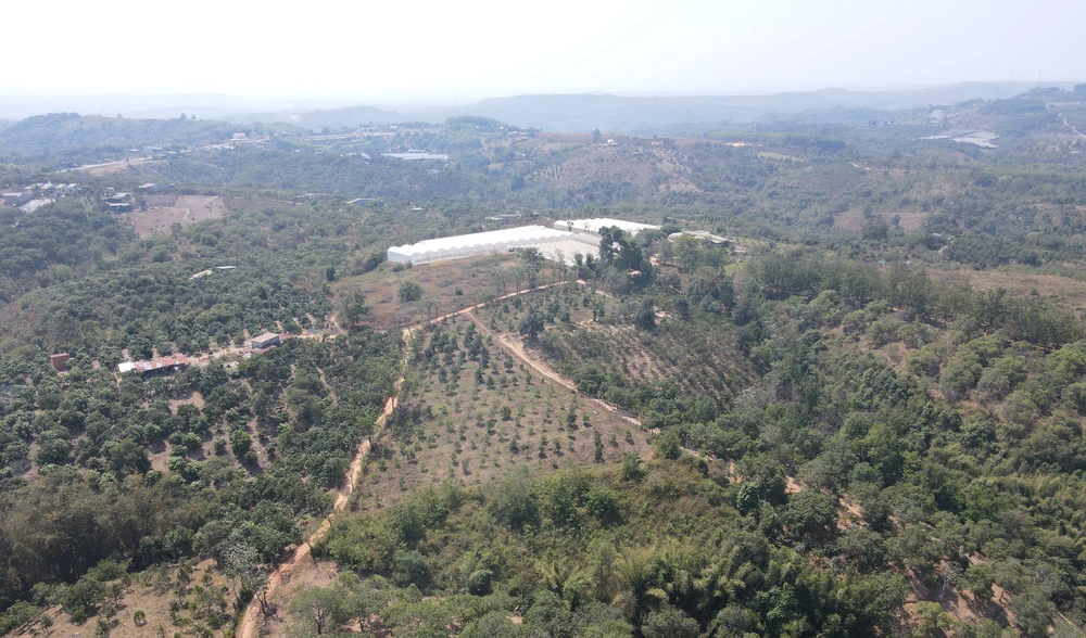 Phần đất cấp chồng lấn cho ba hộ dân ở xã Đắk Gằn. Ảnh: VŨ LONG