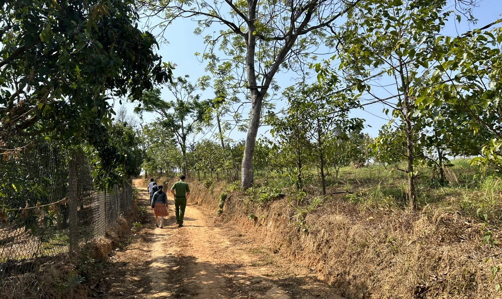 Lực lượng chức năng tiến hành xác minh lại nguồn gốc thửa đất đã cấp chồng lấn ở xã Đắk Gằn. Ảnh: VŨ LONG