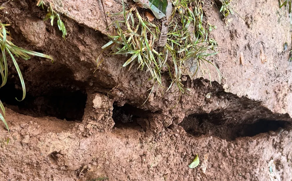 Vết nứt lớn ở bon Bu Krắc. Ảnh: HĐ