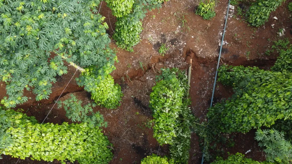 Vết nứt ở rẫy nhà dân sát đập thủy lợi Đắk N&apos;ting. Ảnh: VŨ LONG