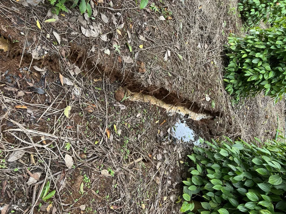 Vết nứt ở rẫy trồng tiêu. Ảnh: AX