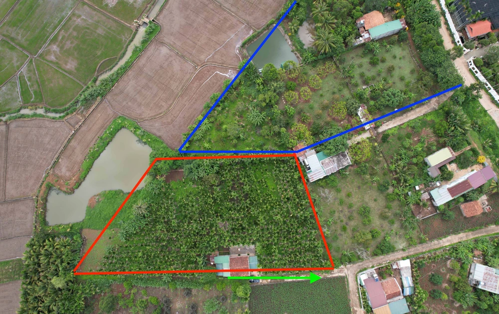 Đất ông Phạm Tặng (ô màu đỏ) và đất của bà Nguyễn Thị Tâm (ô màu xanh) trên thực tế. Ảnh: VŨ LONG