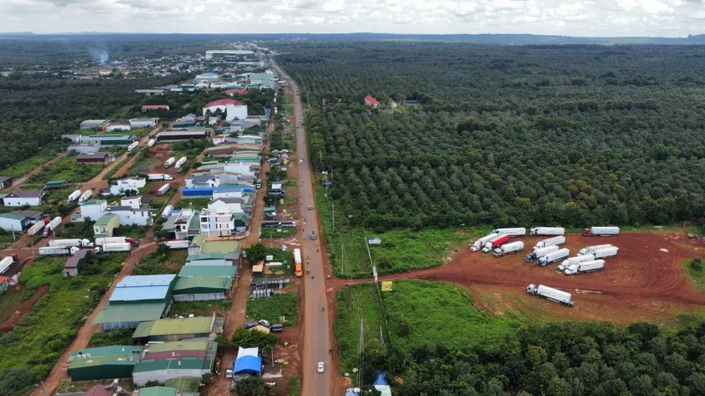 Nhiều xe container tập trung ở huyện Krông Pắk để mua sầu riêng. Ảnh: VŨ LONG ông ty Vạn Phát Thành