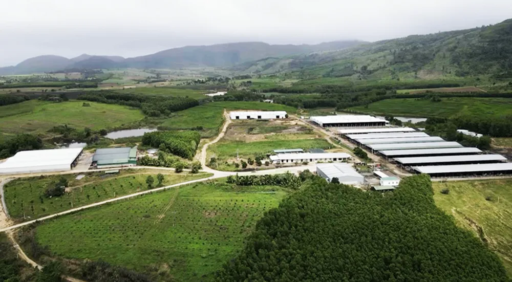 Cho doanh nghiệp tạm ứng ngân sách 55 tỉ , Uỷ ban tỉnh Đắk Lắk gấp rút thu hồi