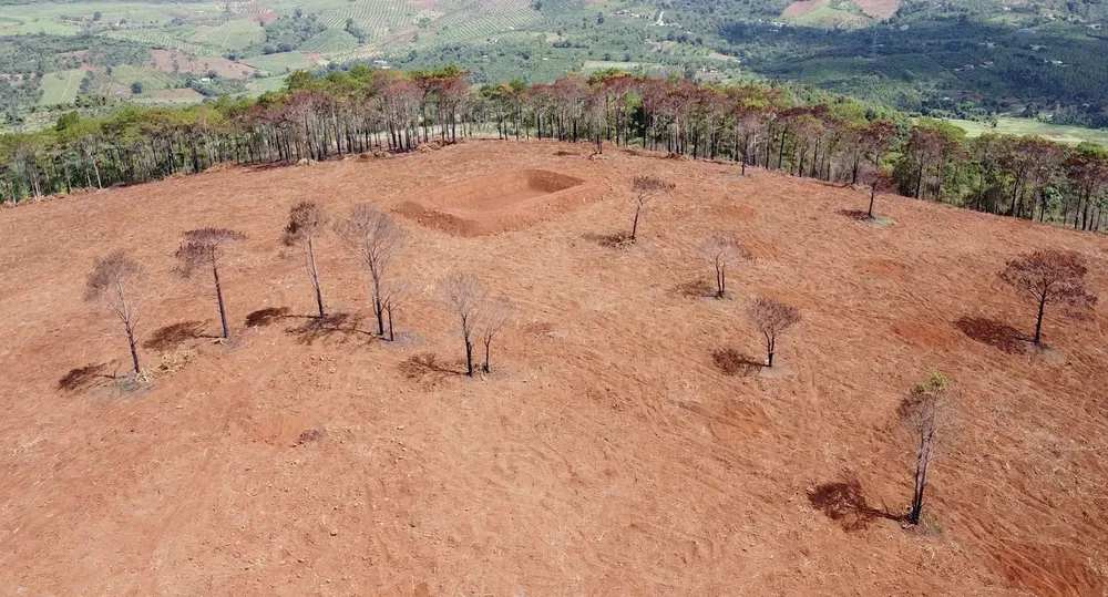 Sở NN&PTNT tỉnh Đắk Nông yêu cầu Chi cục Kiểm lâm báo cáo lại vụ rừng thông nghi bị đốt, hủy hoại mà Pháp Luật TP.HCM phản ánh.