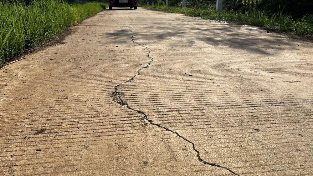 dự án đường nội đồng.jpg