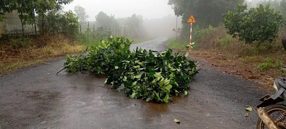 Điểm sạt lở.jpg