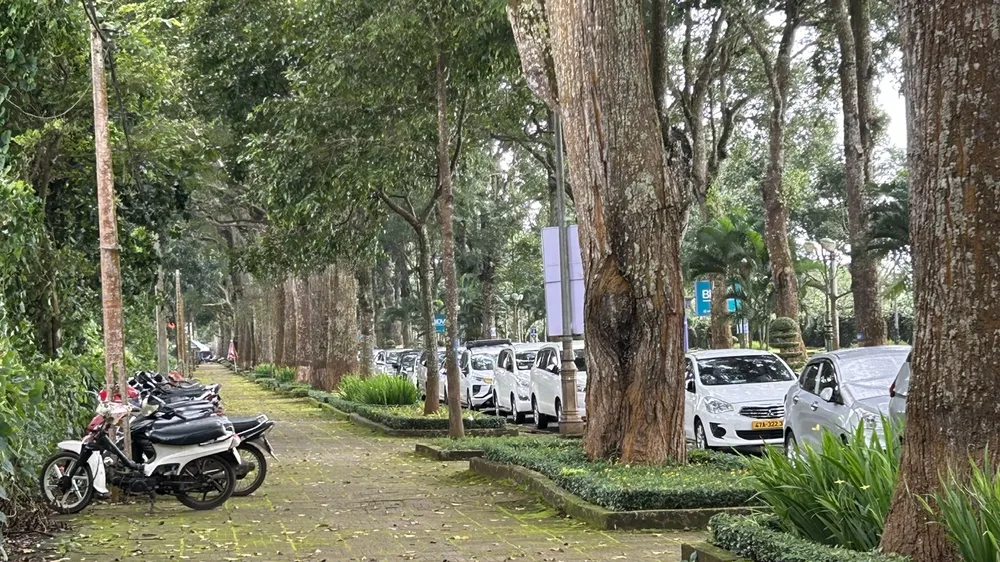 Buôn Ma Thuột.jpg