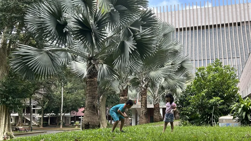 Buôn Ma Thuột.jpg