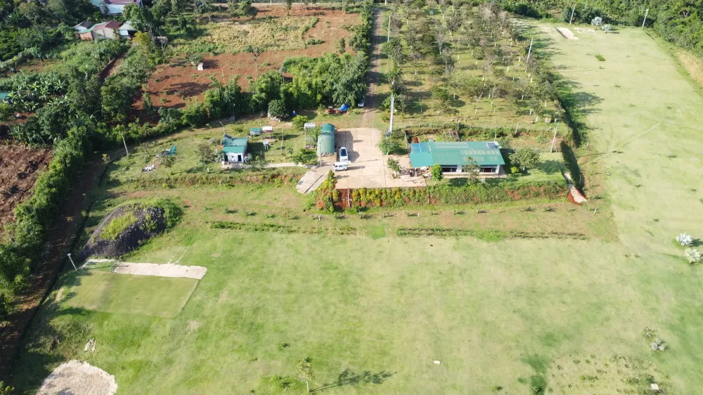 giám đốc ngân hàng.JPG