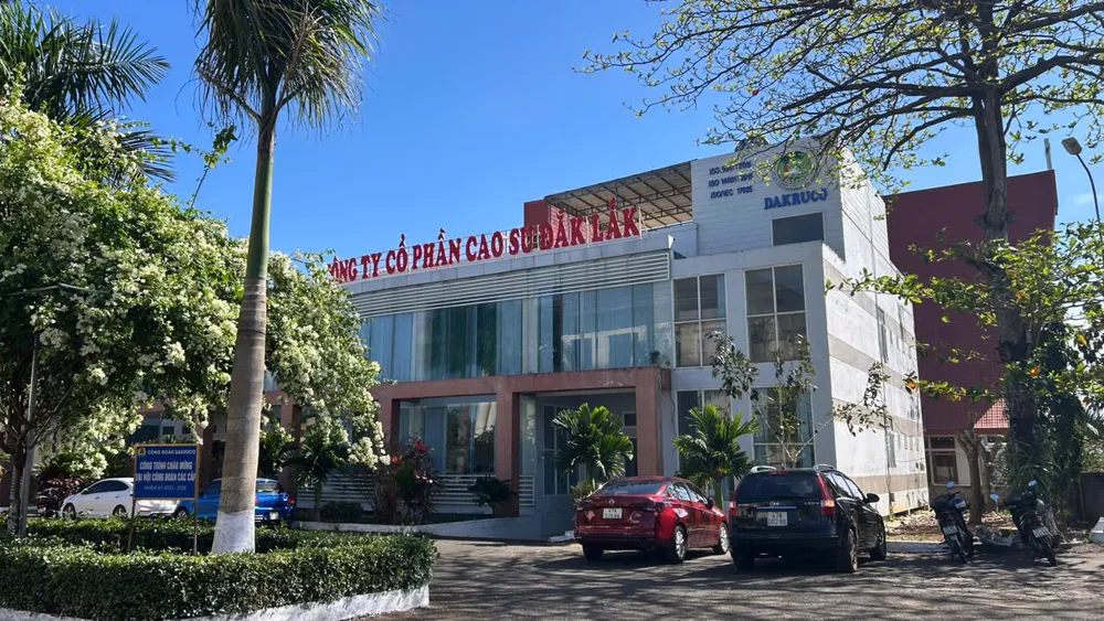 Cao su Đắk Lắk.jpg