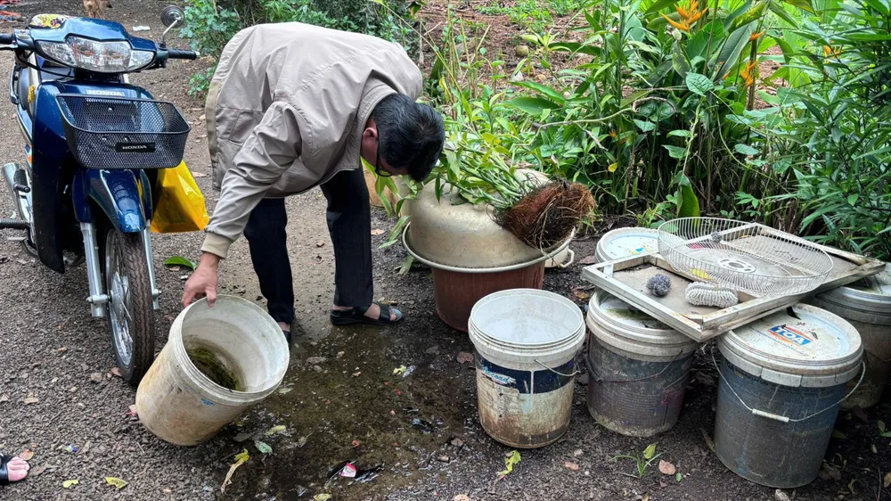 Sốt xuất huyết.jpg