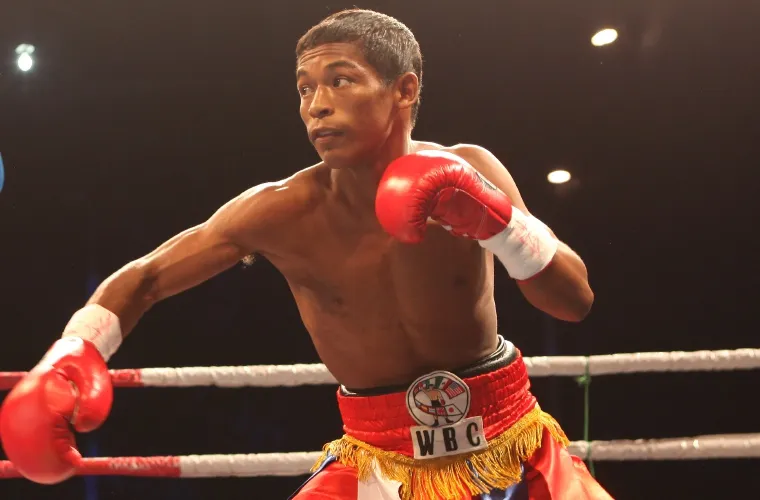 “Gã lùn khổng lồ” Thái Lan sắp san bằng kỷ lục của Mayweather ảnh 1