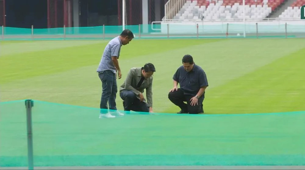 Sợ chuột tấn công