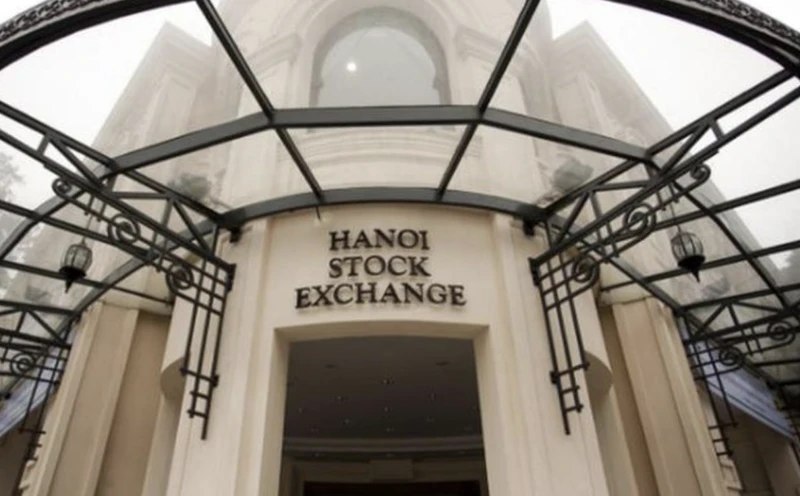 Đình chỉ giao dịch cổ phiếu vi phạm nghĩa vụ công bố báo cáo tài chính kiểm toán 3 năm liên tiếp