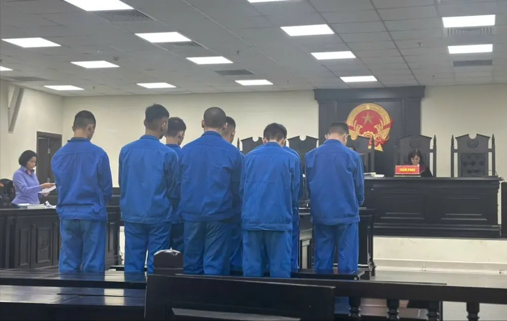 cướp biển xe.jpg