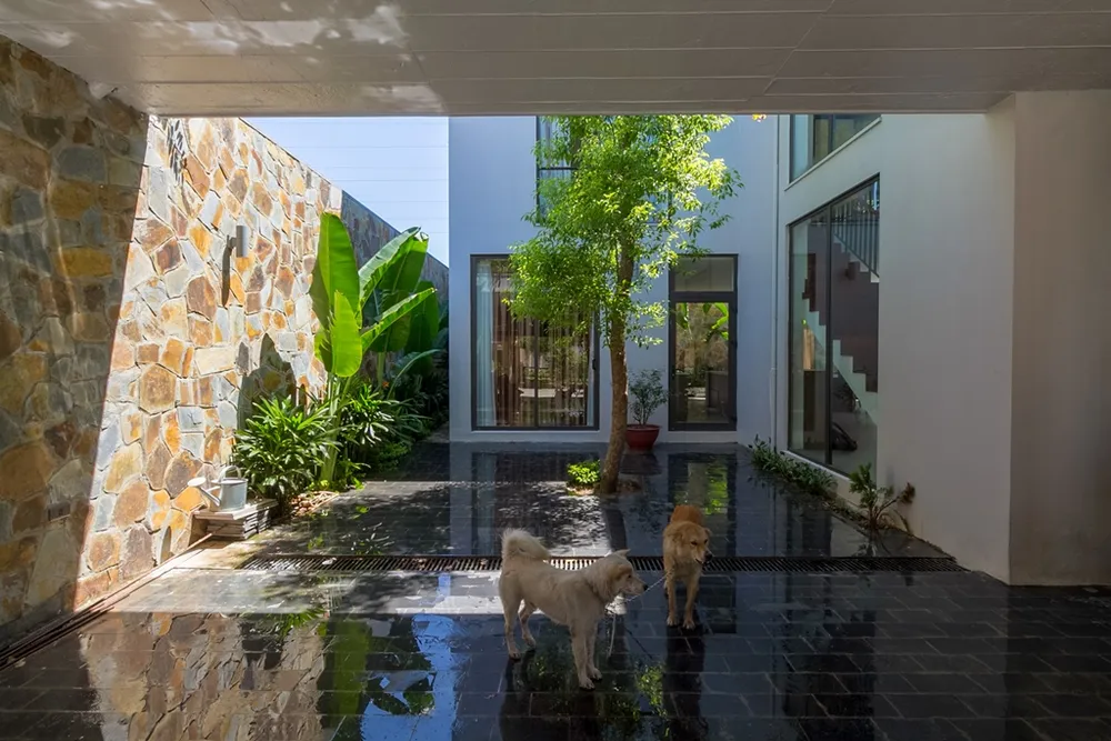 nha-ba-tang-dan-xen-vuon-xanh6