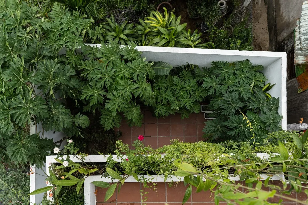 khe-house-cam-thuc-hoi-an1