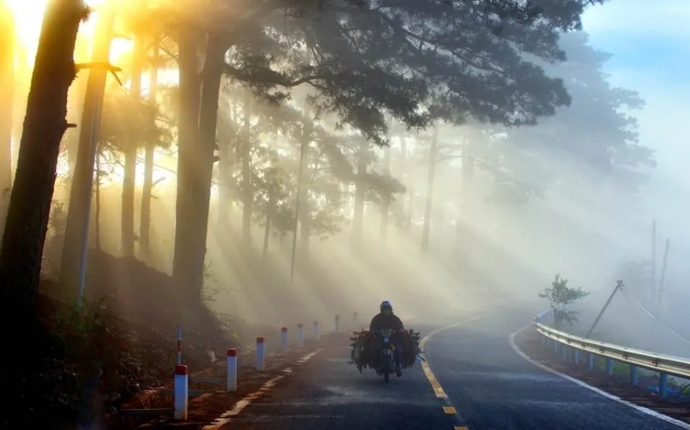 binh-minh-da-lat-dep-nap-long-3