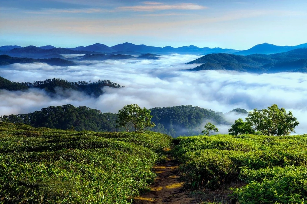 binh-minh-da-lat-dep-nap-long-4