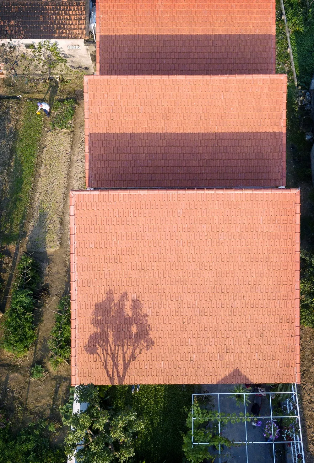 nha-ba-gian-duong-dai-16