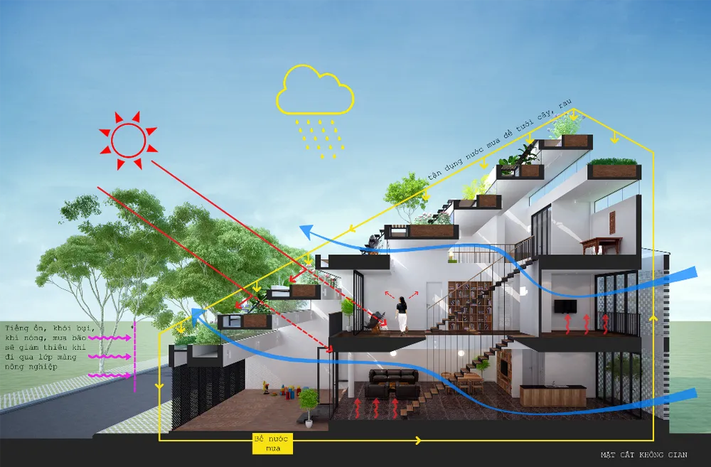ngoi-nha-co-ruong-bac-thang-mat-tien-18