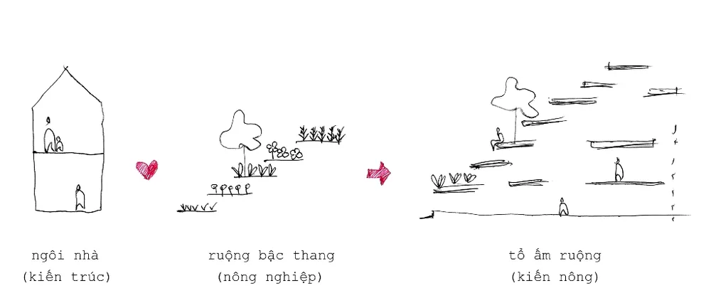ngoi-nha-co-ruong-bac-thang-mat-tien-19
