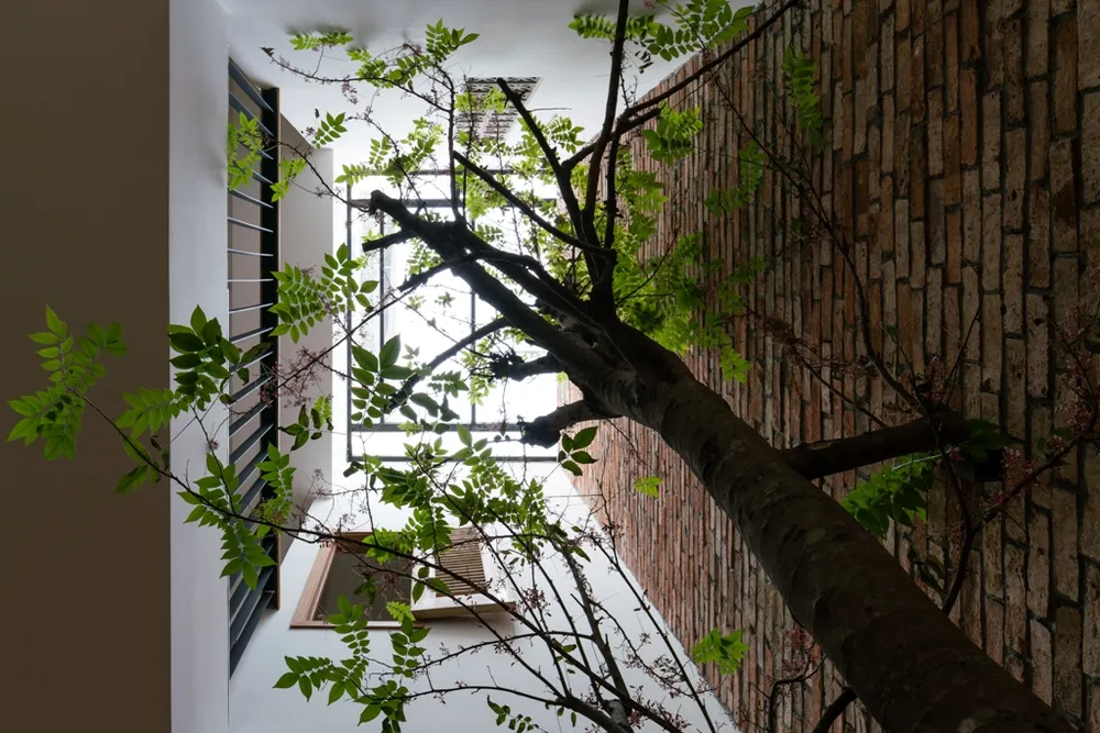 ngoi-nha-danh-cho-con-gai-ruou-17