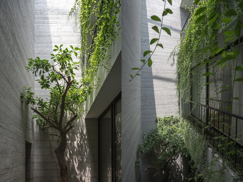 ngoi-nha-nhu-oc-dao-xanh-11