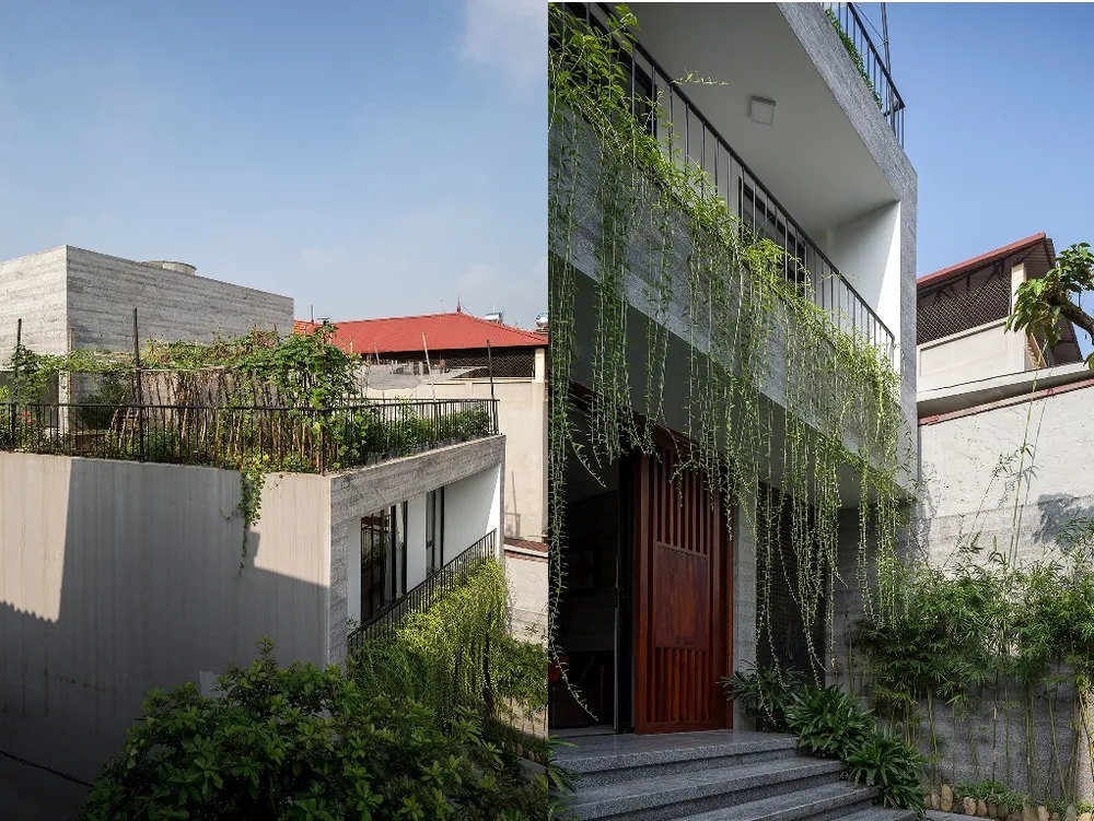 ngoi-nha-nhu-oc-dao-xanh-3