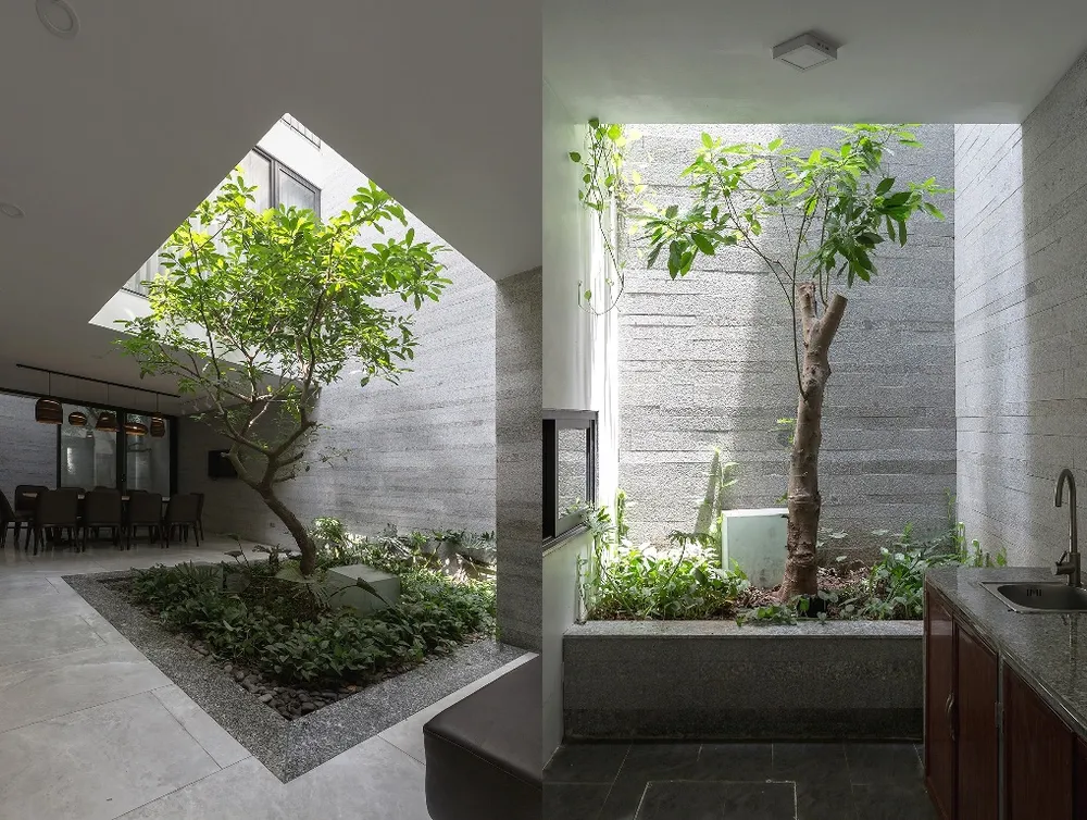 ngoi-nha-nhu-oc-dao-xanh-9