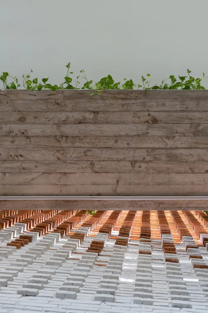 thiet-ke-mat-tien-hai-lop-6