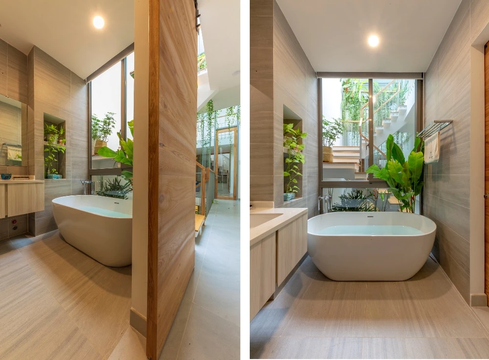 mat-tien-gai-goc-nhu-qua-sau-rieng-13