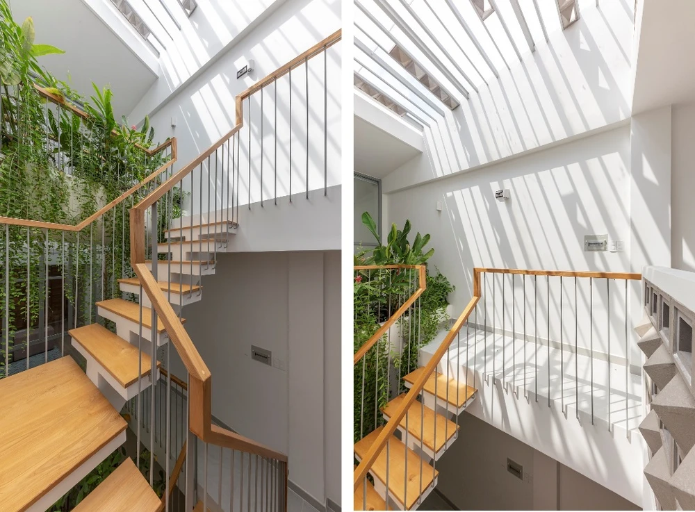 mat-tien-gai-goc-nhu-qua-sau-rieng-15