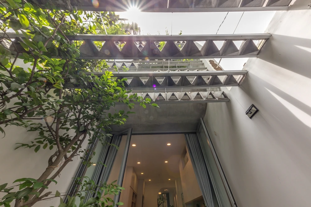 mat-tien-gai-goc-nhu-qua-sau-rieng-5