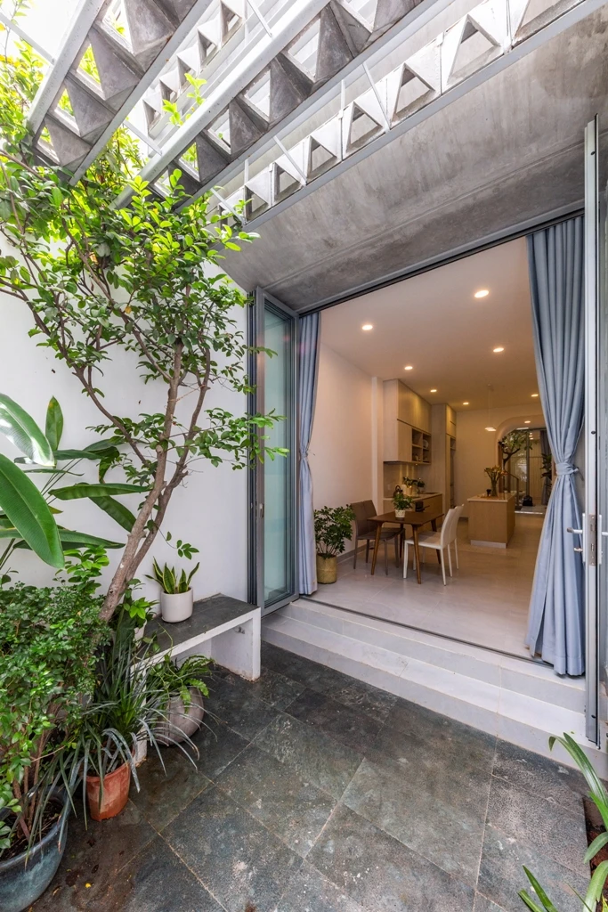 mat-tien-gai-goc-nhu-qua-sau-rieng-6