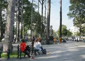 TP.HCM: Tạm dừng hoạt động tập thể ở công viên