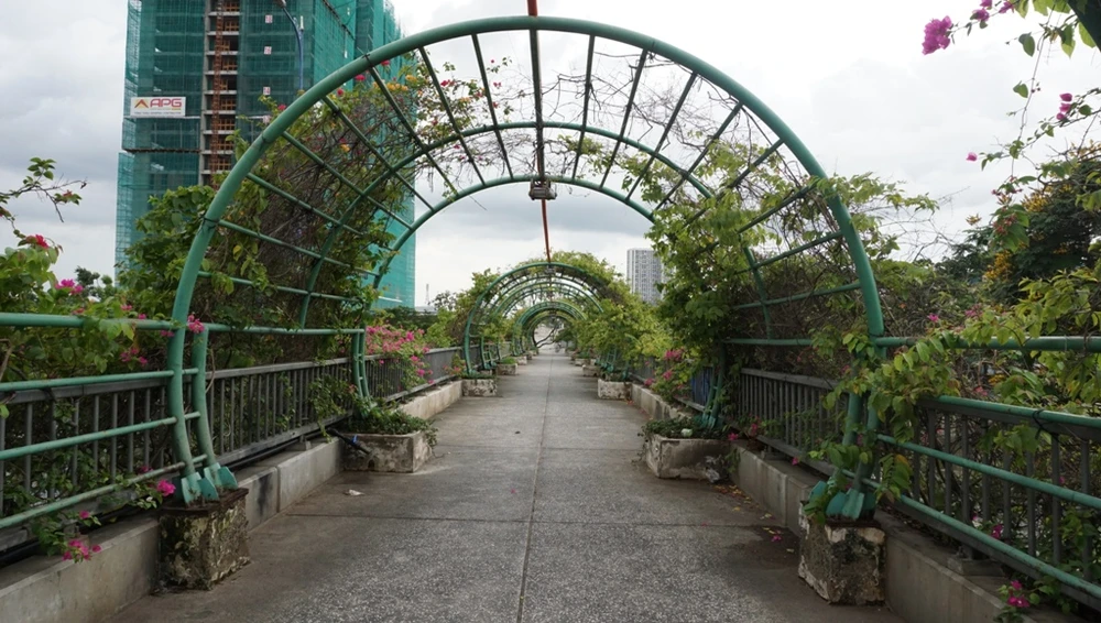 nguoi-dan-bang-qua-duong-8